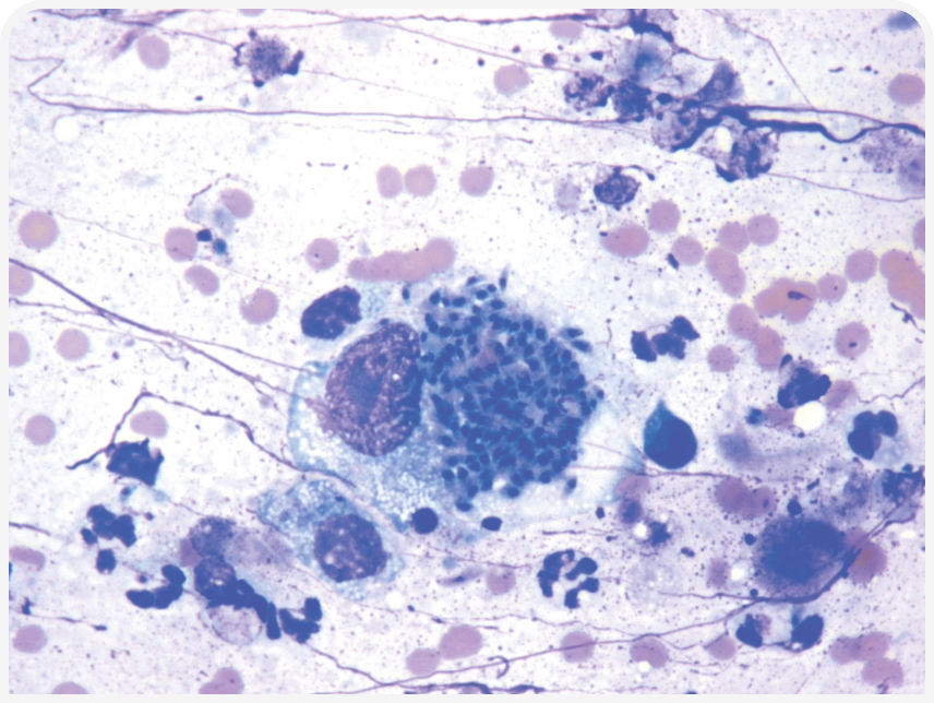 FOCUS-334-Leonard-Figure-2 (2).png