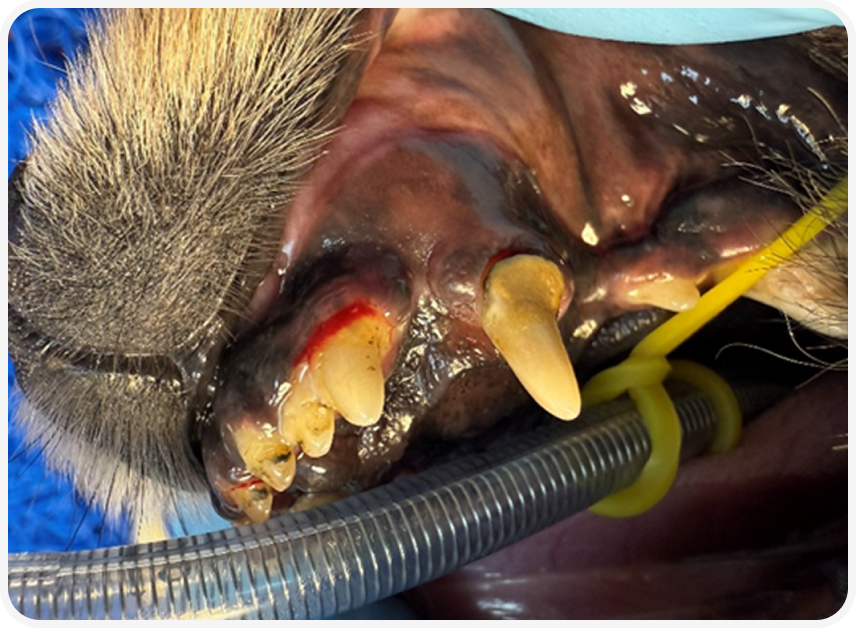 Frame 2087331109 (3).png