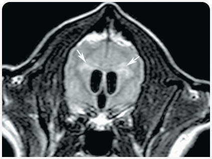 281_art5–Figure 2 (3).png