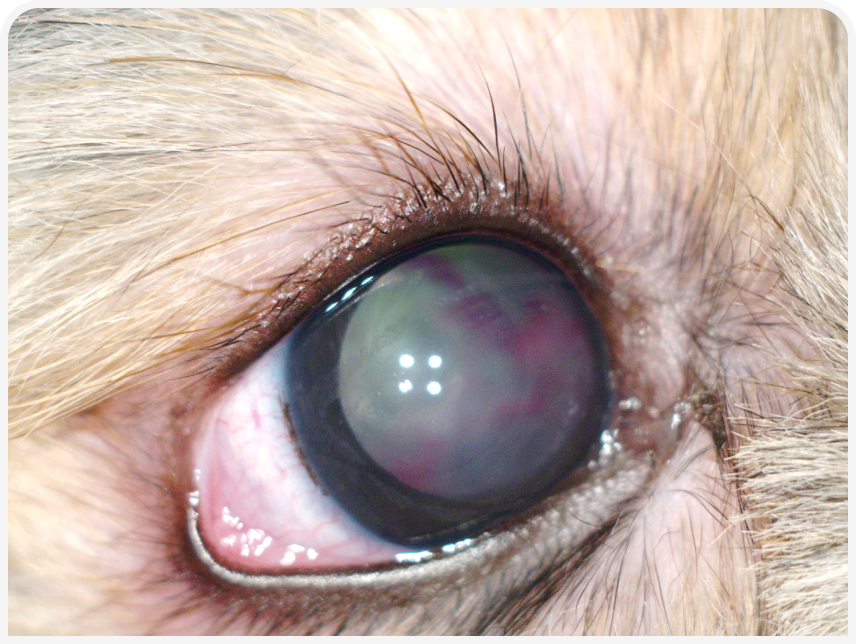 FOCUS (24).png