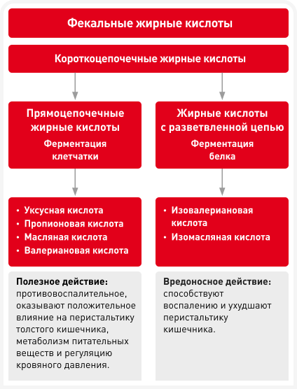 fig 4.png