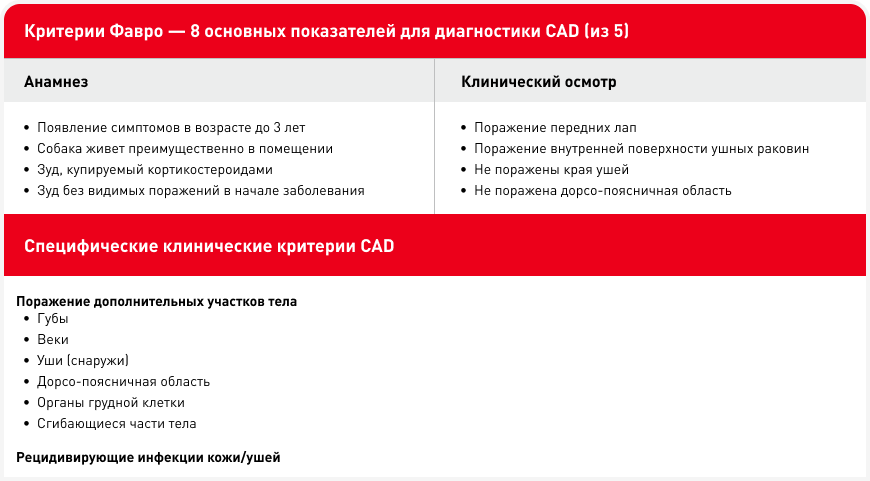 Диалог 2 (3).png