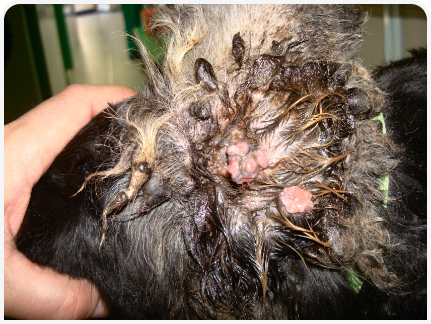 FOCUS-334-Leonard-Figure-2 (2).png