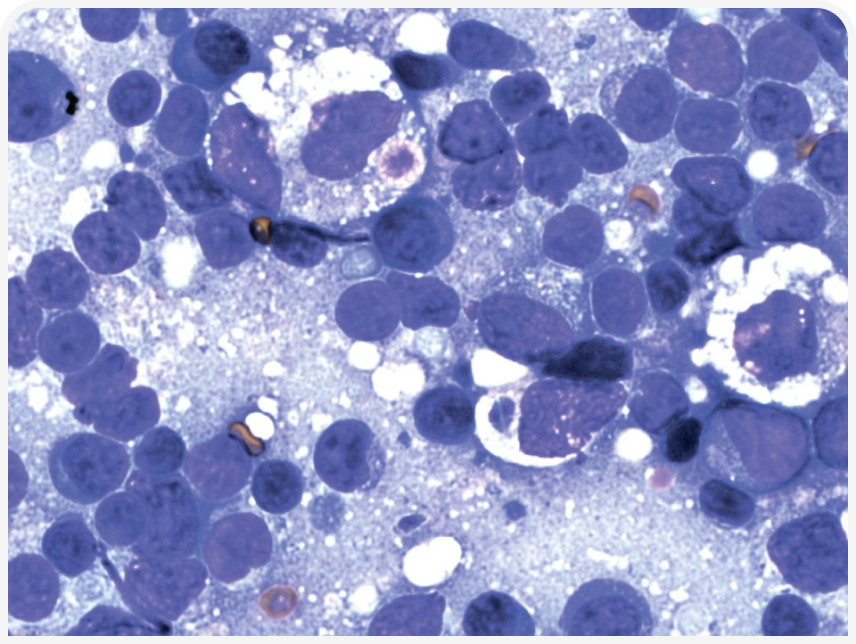 FOCUS-334-Leonard-Figure-2 (3).png