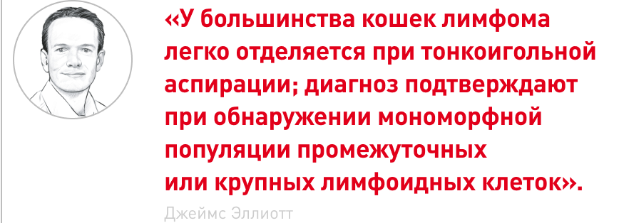 врезка.png