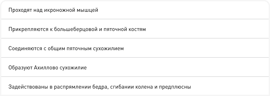 рис 7 (10).png