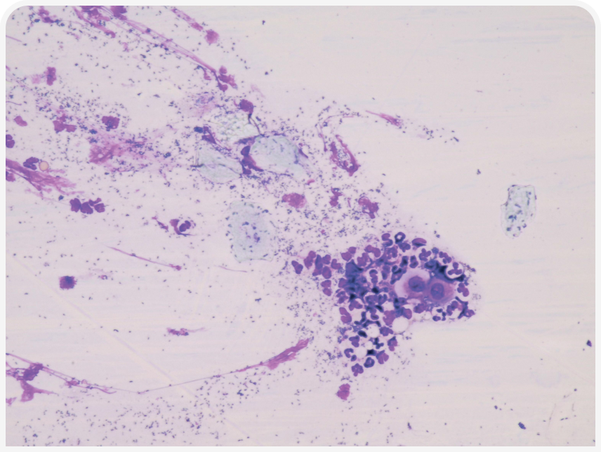 FOCUS-334-Leonard-Figure-2 (5).png