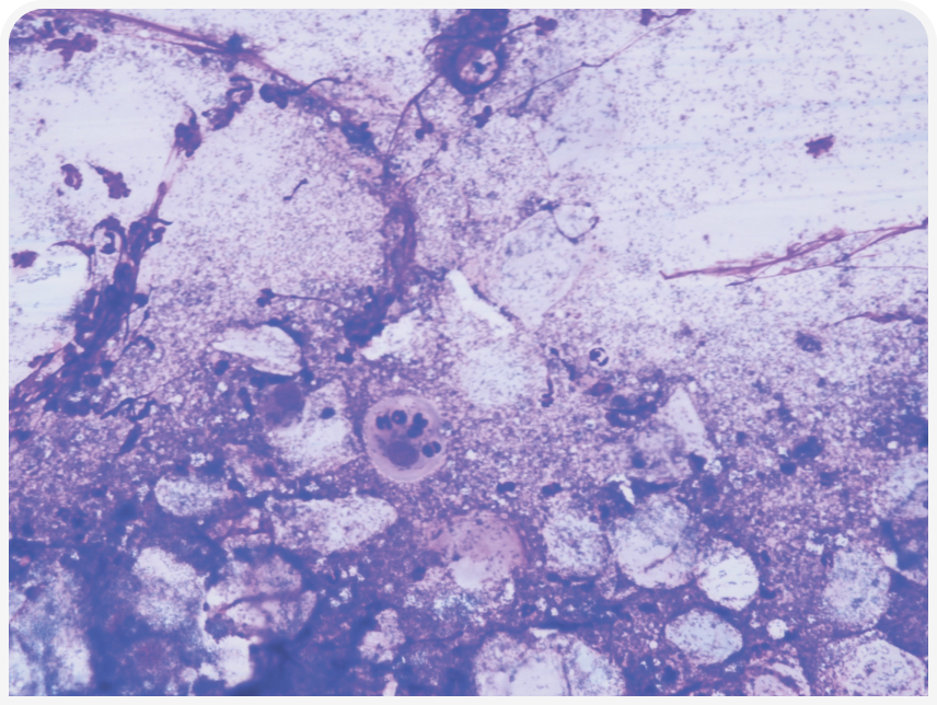 FOCUS-334-Leonard-Figure-2 (6).png