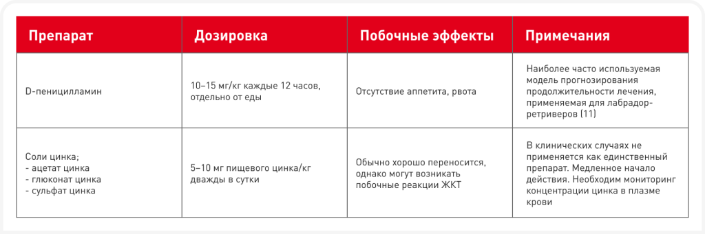 unordered list