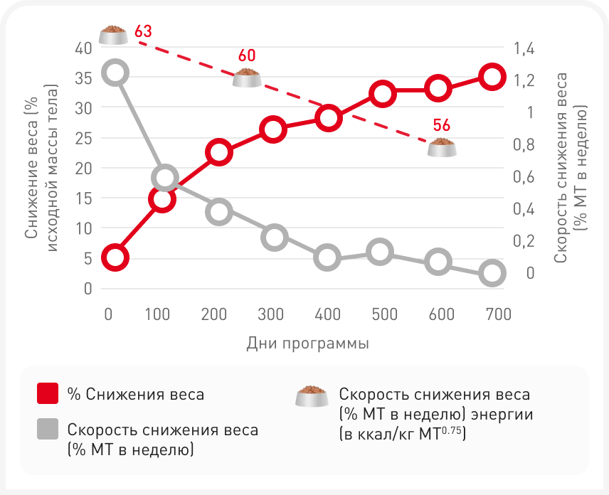 FOCUS_322_ELLIOTT_Figure-3 1 (2).png
