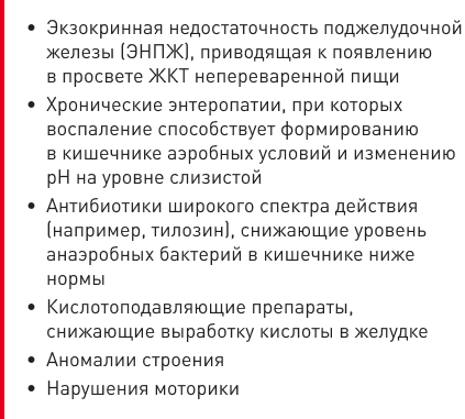 blok 1.png