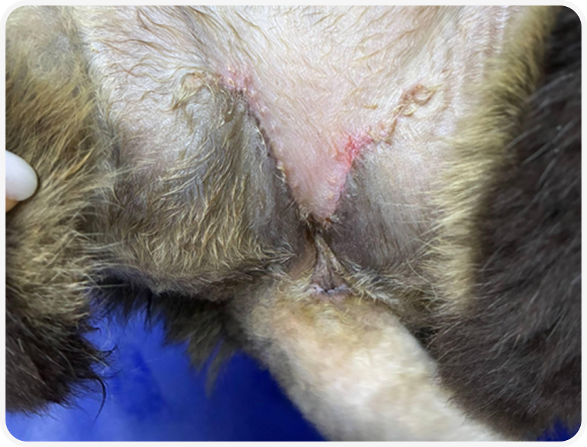 Frame 2087331109 (1).png