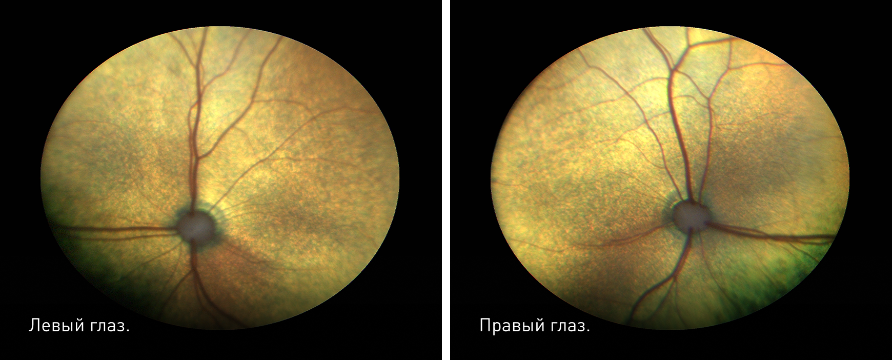 Frame 2087330831 (2).png