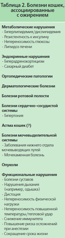 2020-01-20 12_01_08-Энциклопедия клинического питания кошек _ Ветеринарная академия Royal Canin.png 2020-01-20 12_01_08-Энциклопедия клинического питания кошек _ Ветеринарная академия Royal Canin.png