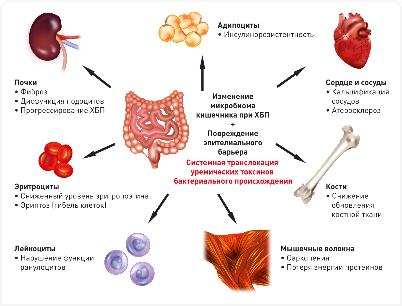 fig 2 (1).png