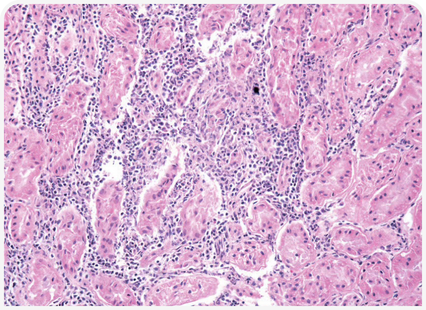 FOCUS-334-Leonard-Figure-4 (2).png