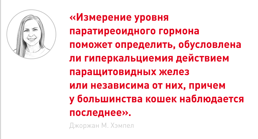 врезка.png