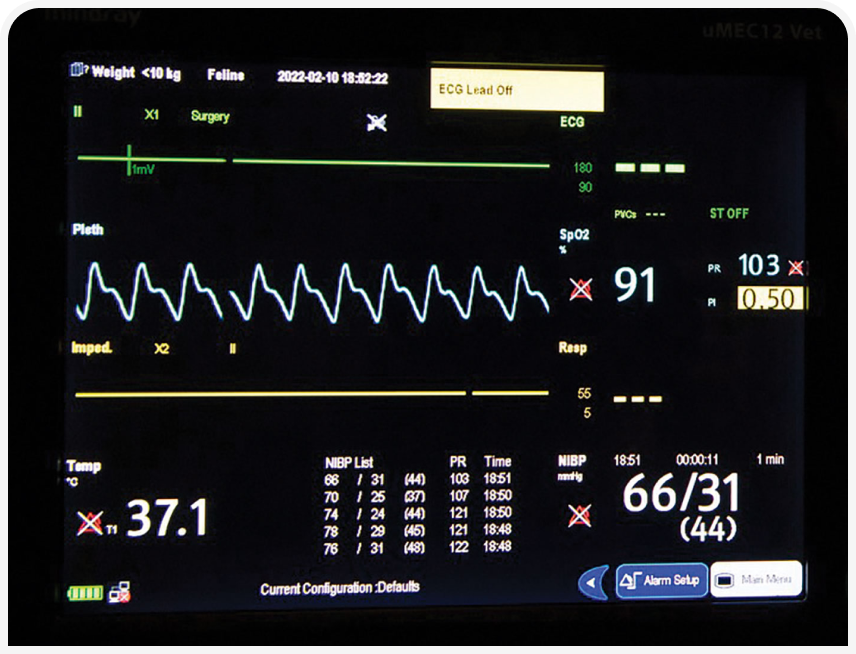 FOCUS_322_RADULESCU_Figure-3 (1).png