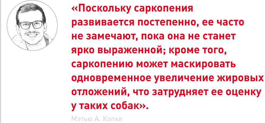 врезка.png