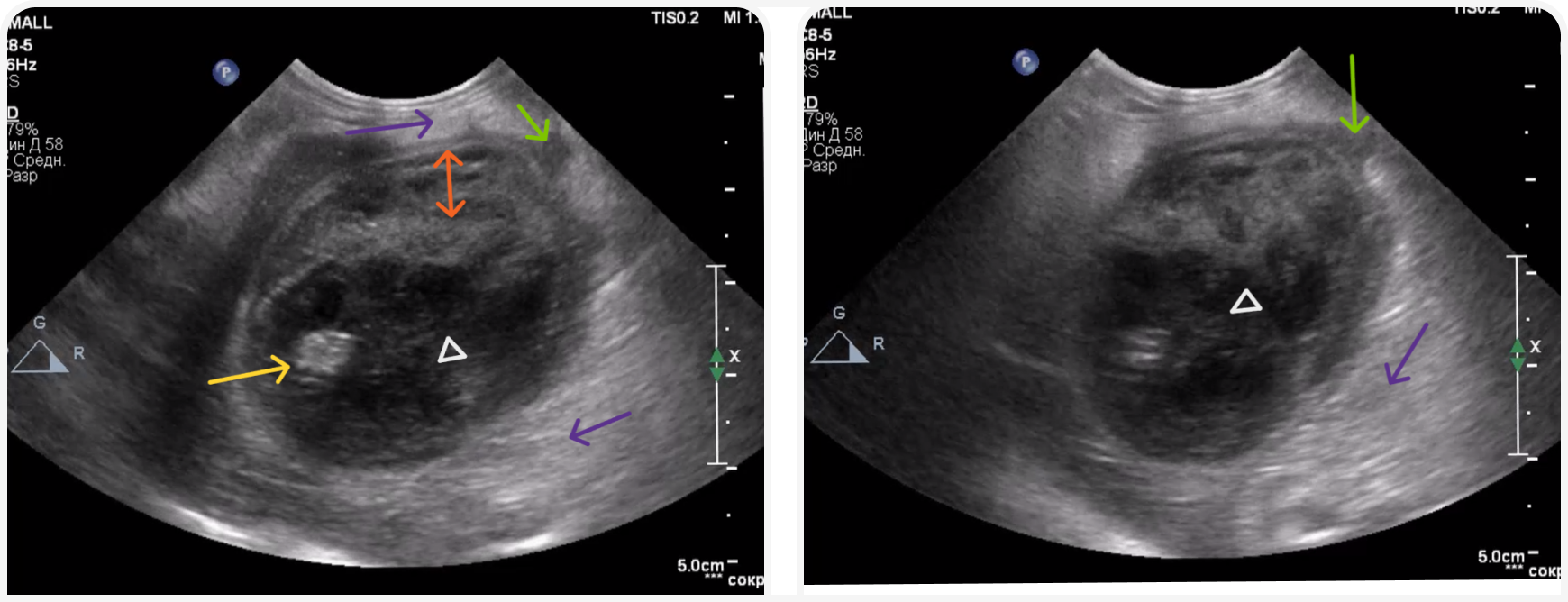fig 1 (5).png