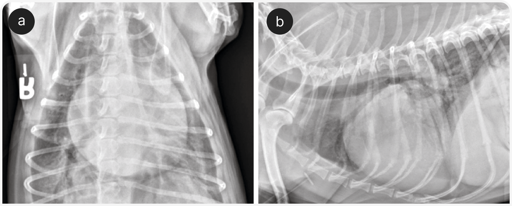 332_VF_Art5_Figure-5 (2).png