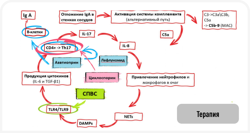 fig1 (2).png