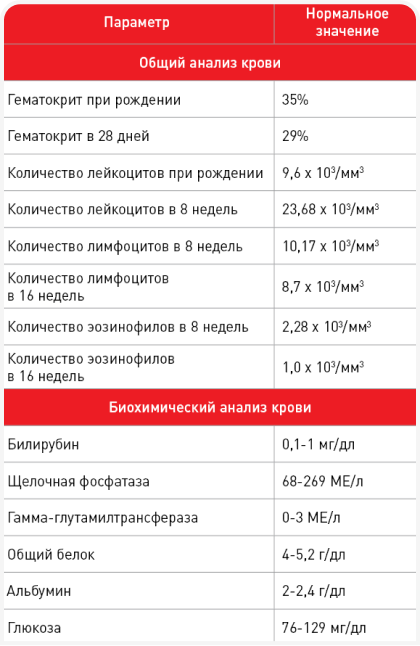 image 23.png