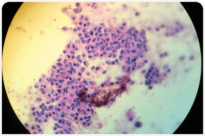 FOCUS-334-Leonard-Figure-4 (5).png