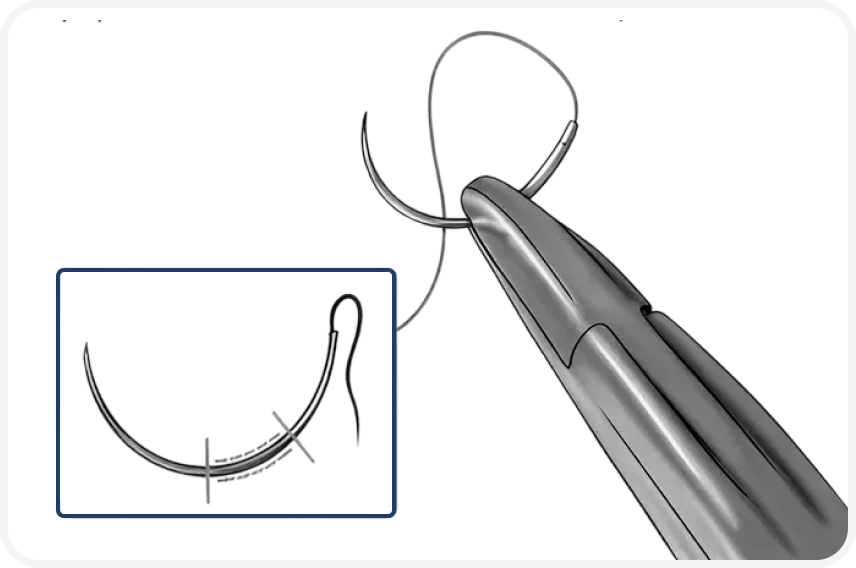 FOCUS_322_ELLIOTT_Figure-3 1 (3).png