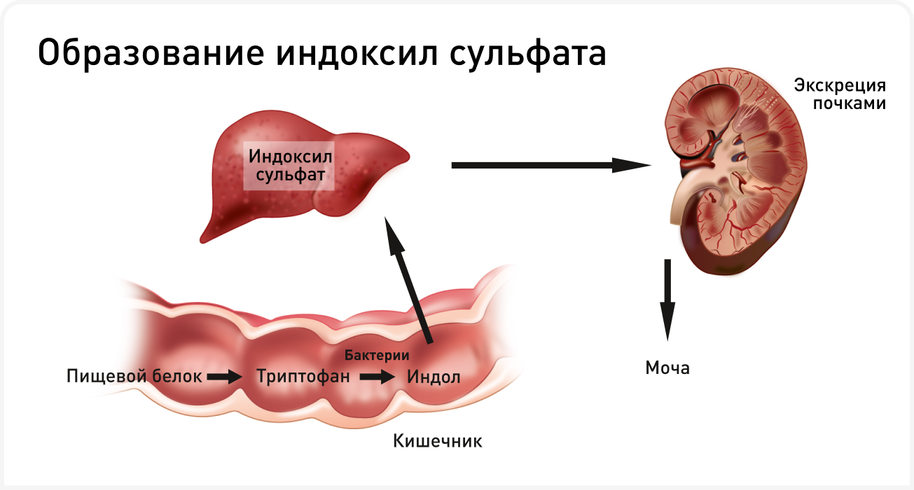 fig 2.png