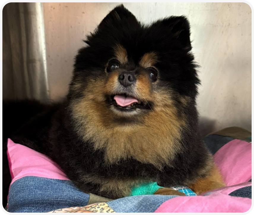 Frame 2087331109.png