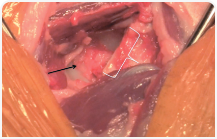 281_art5–Figure 7 1 (13).png