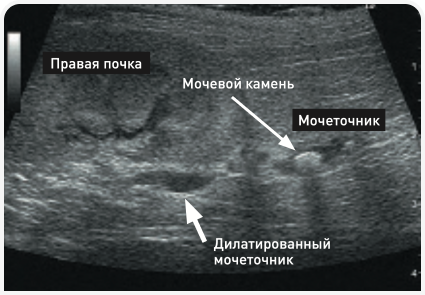 Снимок экрана 2023-08-01 в 16.36 1.png