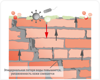 FIGURE 1B_271123.png