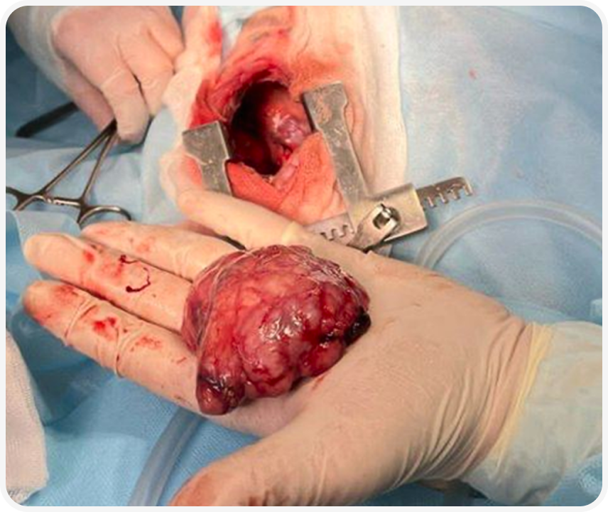 Frame 2087331109.png