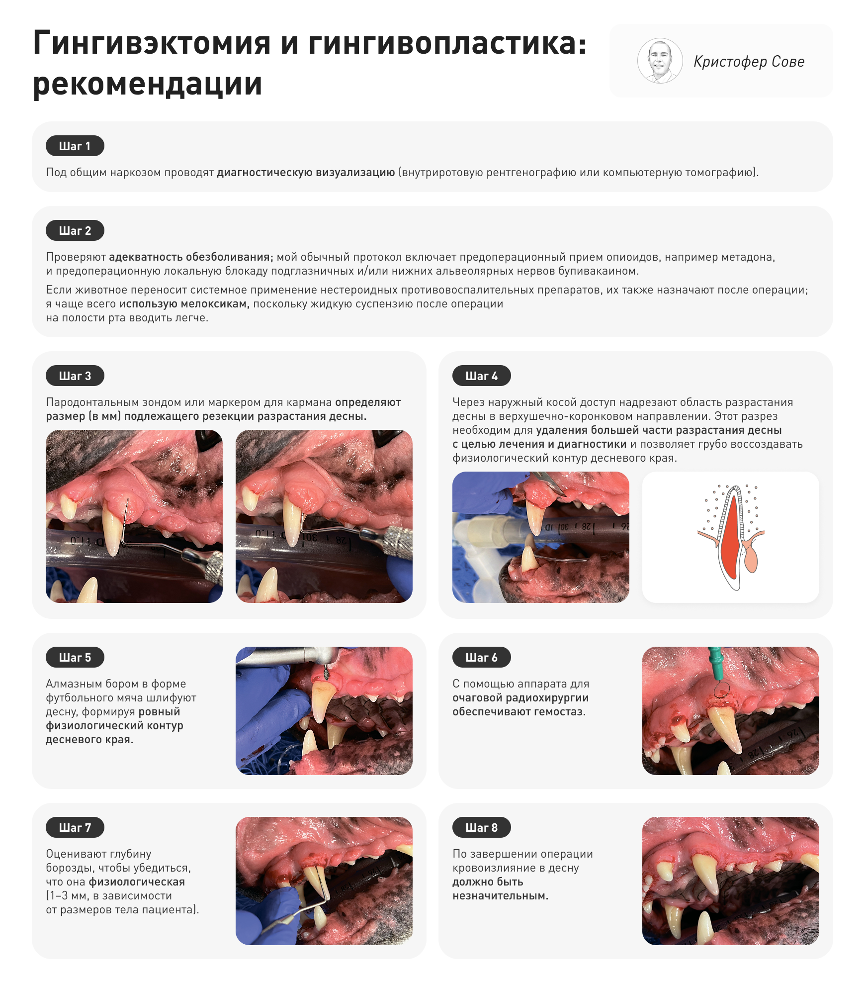 Frame 2087331165.png