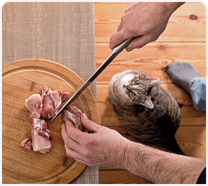 VF_313_Article-Chandler-Figure-1 1.png