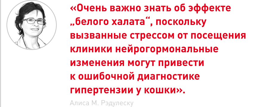врезка (1).png