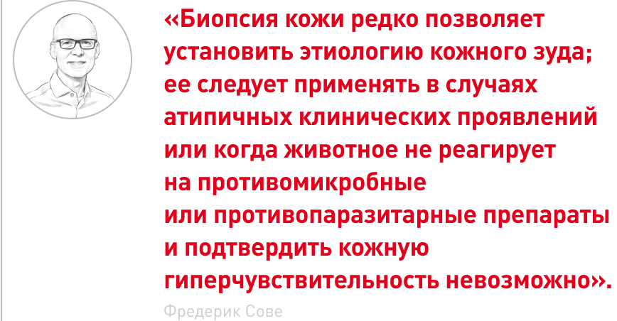 врезка 1.png