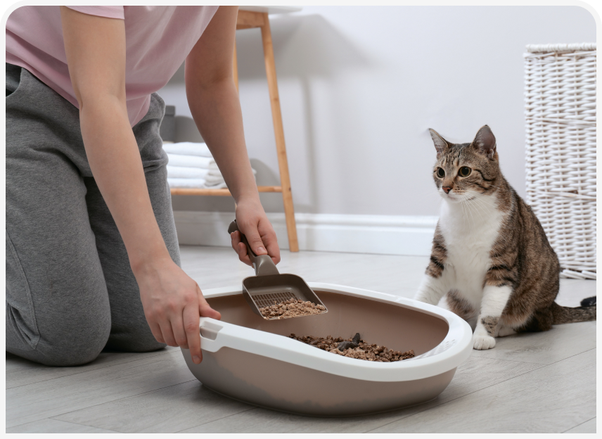 FOCUS-334-Leonard-Figure-4 (3).png