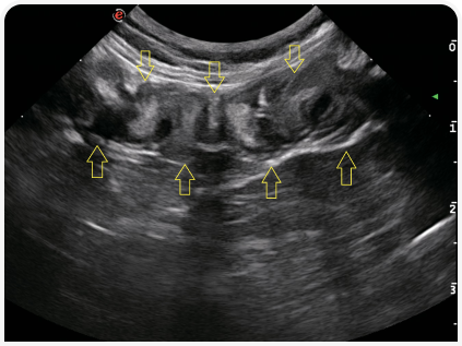 281_art5–Figure 3 (1).png