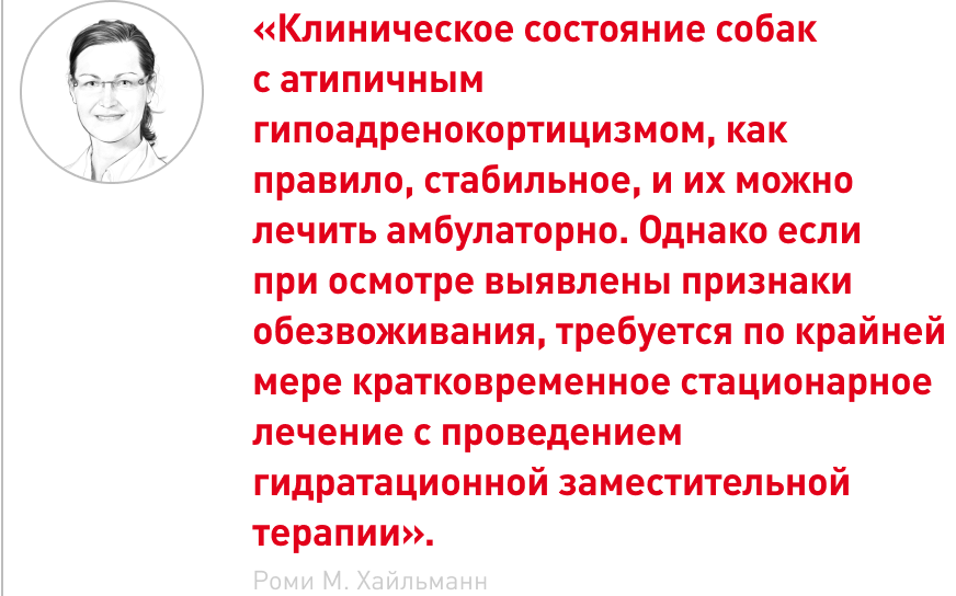 врезка (1).png