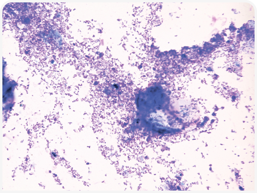 FOCUS-334-Leonard-Figure-2 (1).png