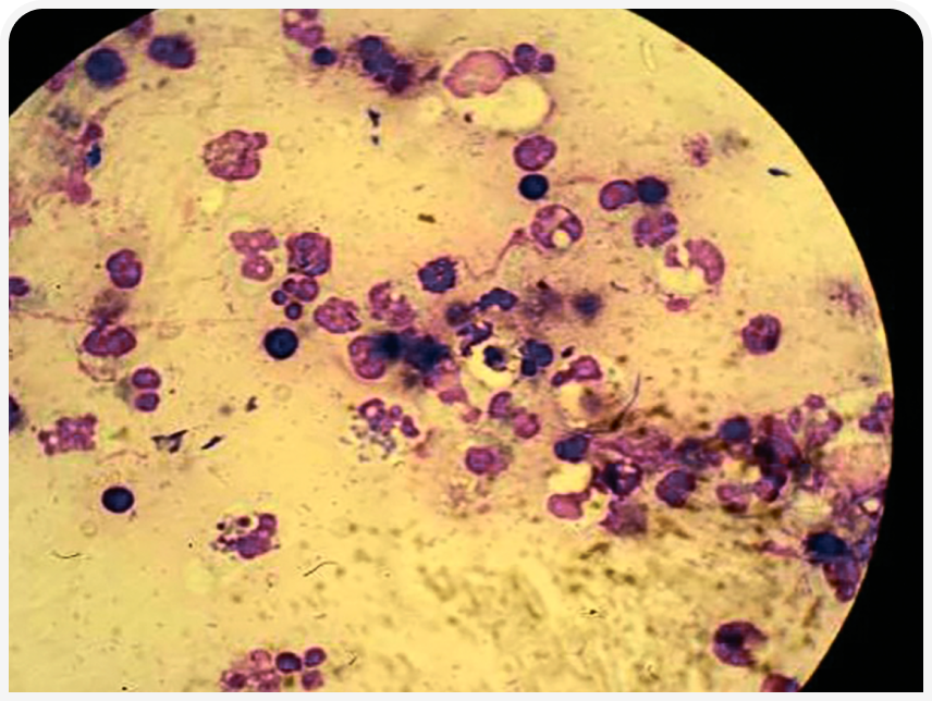 FOCUS-334-Leonard-Figure-2 (1).png