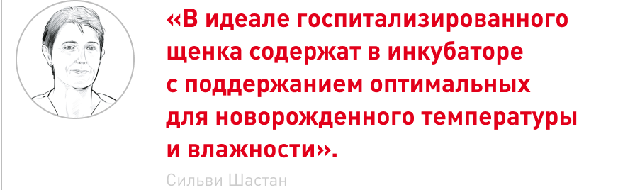 врезка.png врезка.png