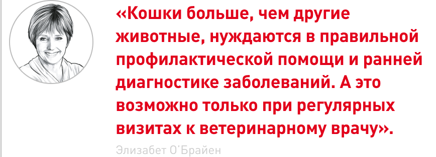 врезка.png