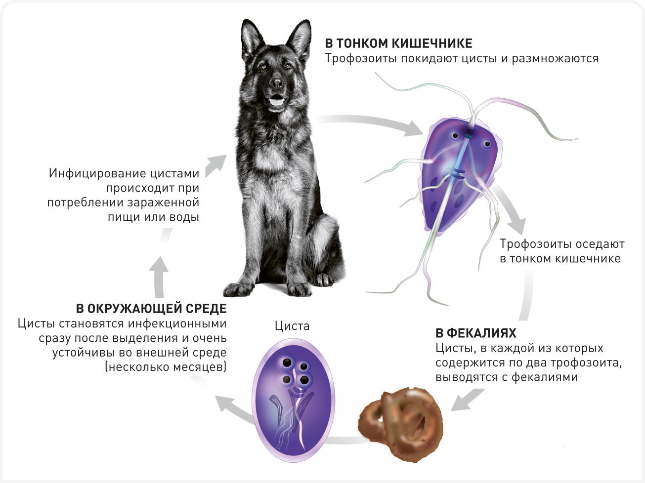 fig 1 (1).png