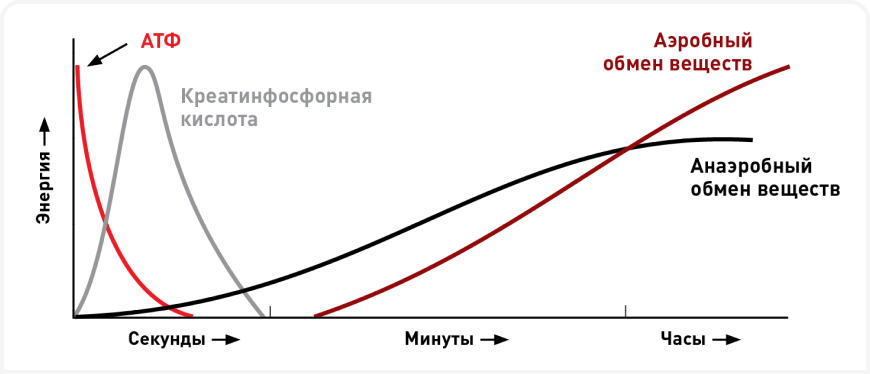 Frame 1710 (8).png