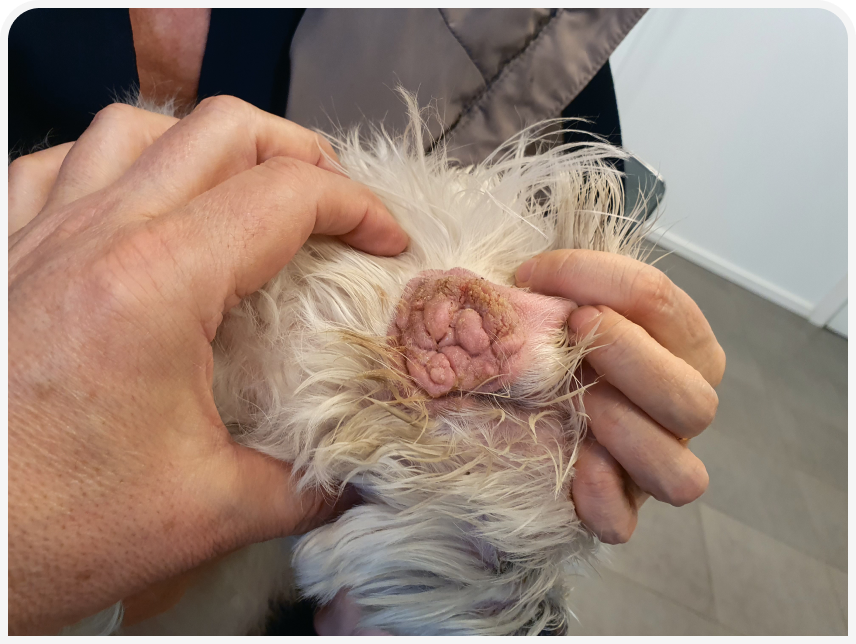 FOCUS-334-Leonard-Figure-2 (3).png