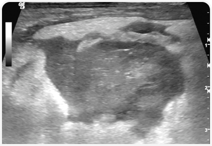 281_art5–Figure 7 1.png